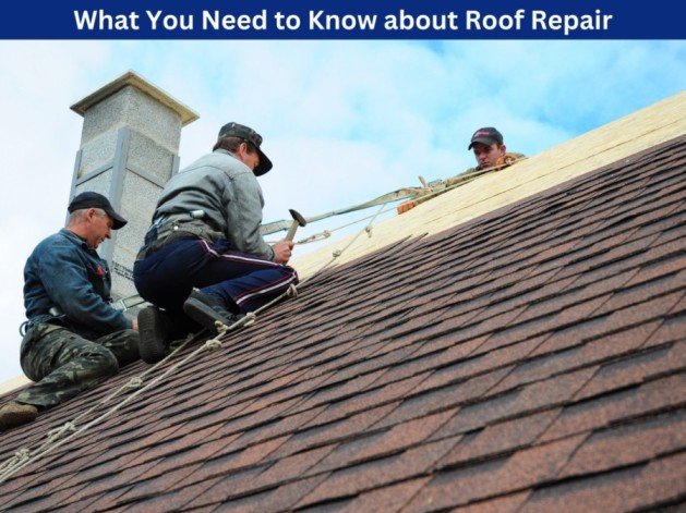 Two person doing roof repair service in Tampa